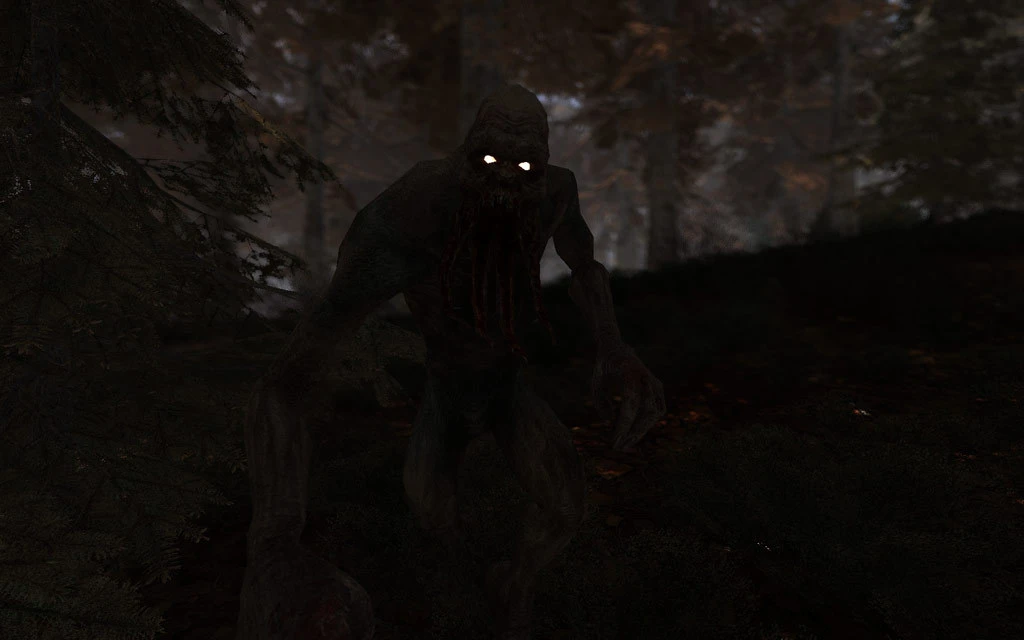 S.T.A.L.K.E.R.: Clear Sky mac游戏 screenshot-2