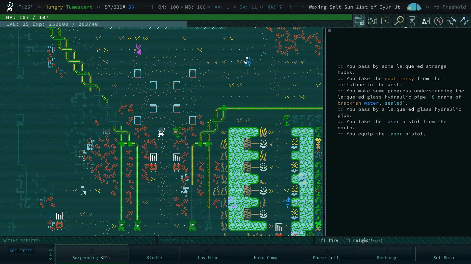 Caves of Qud mac游戏 screenshot-1