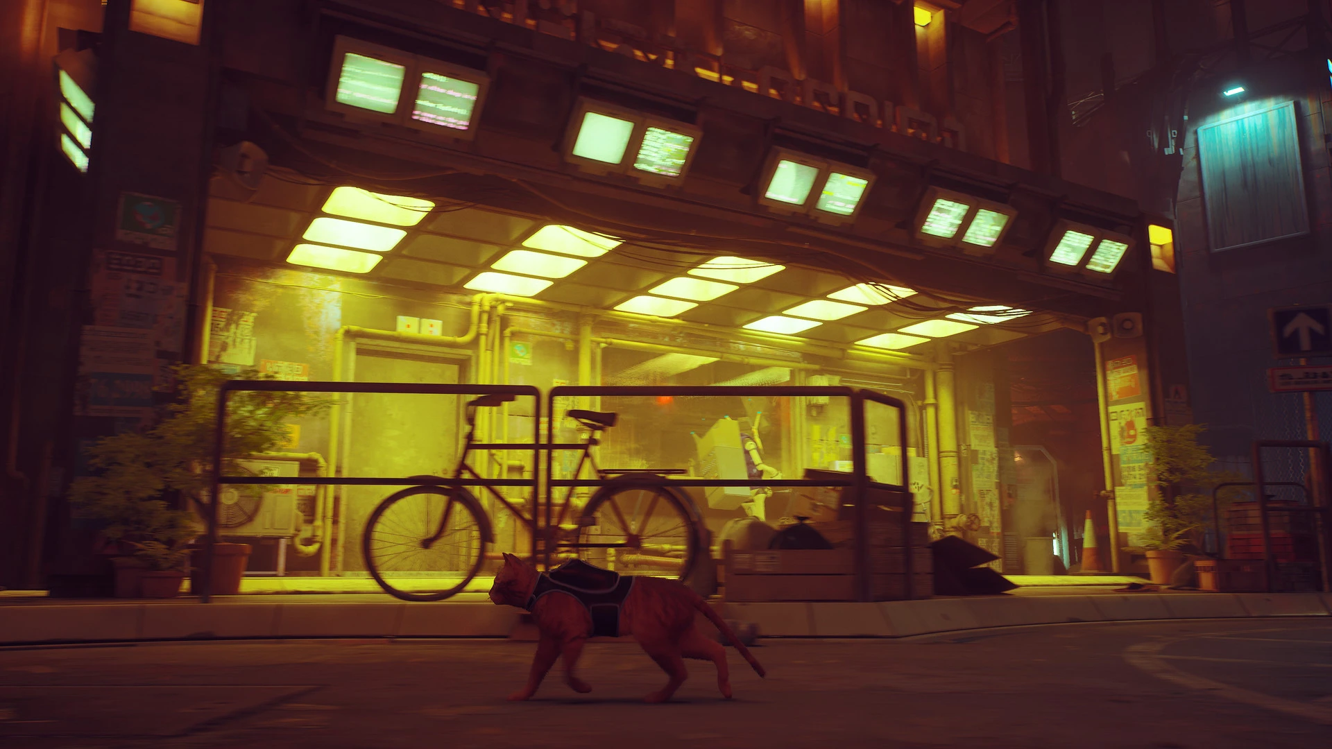 Stray mac游戏 screenshot-2