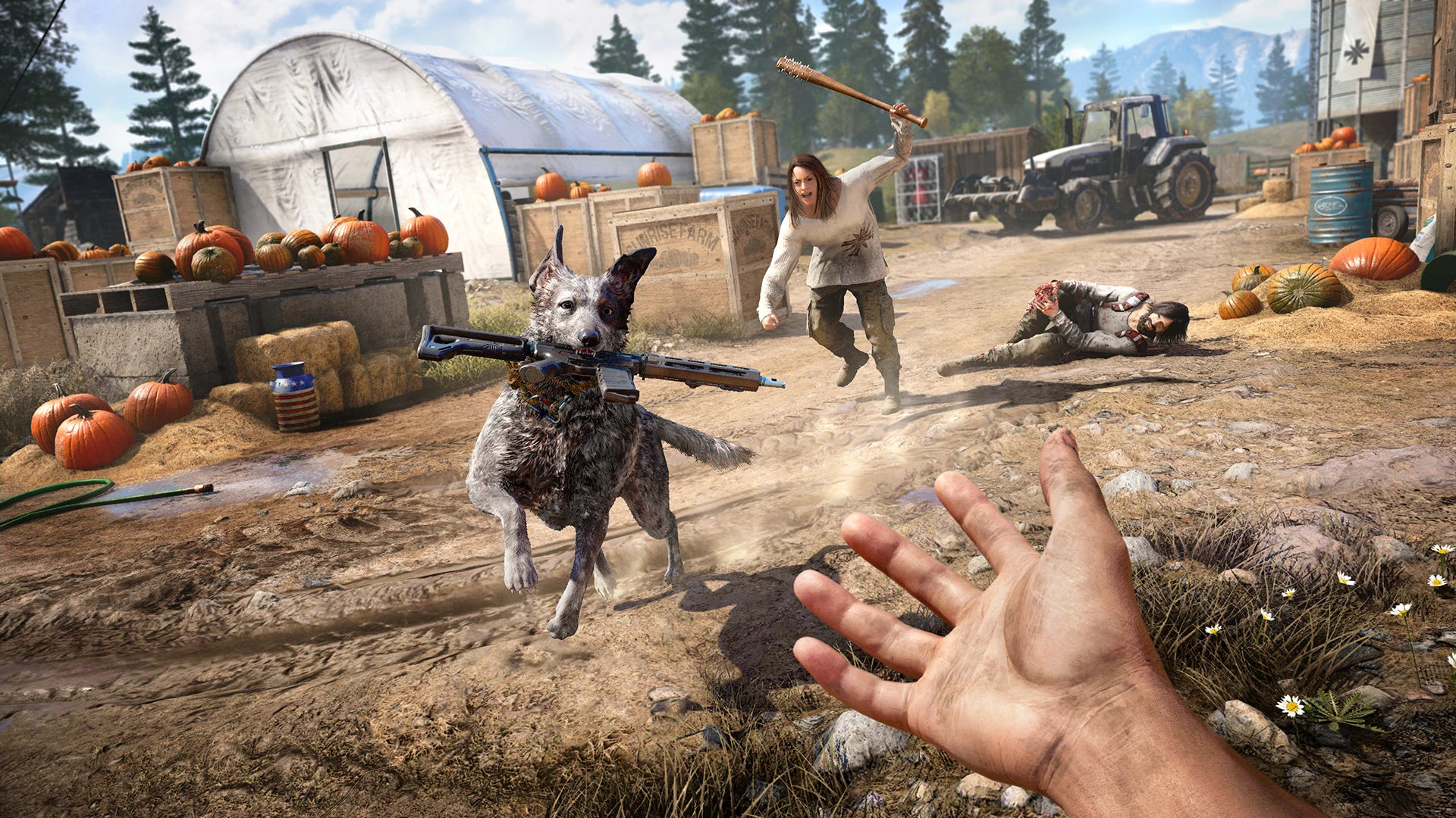 Far Cry 5 mac游戏 screenshot-6