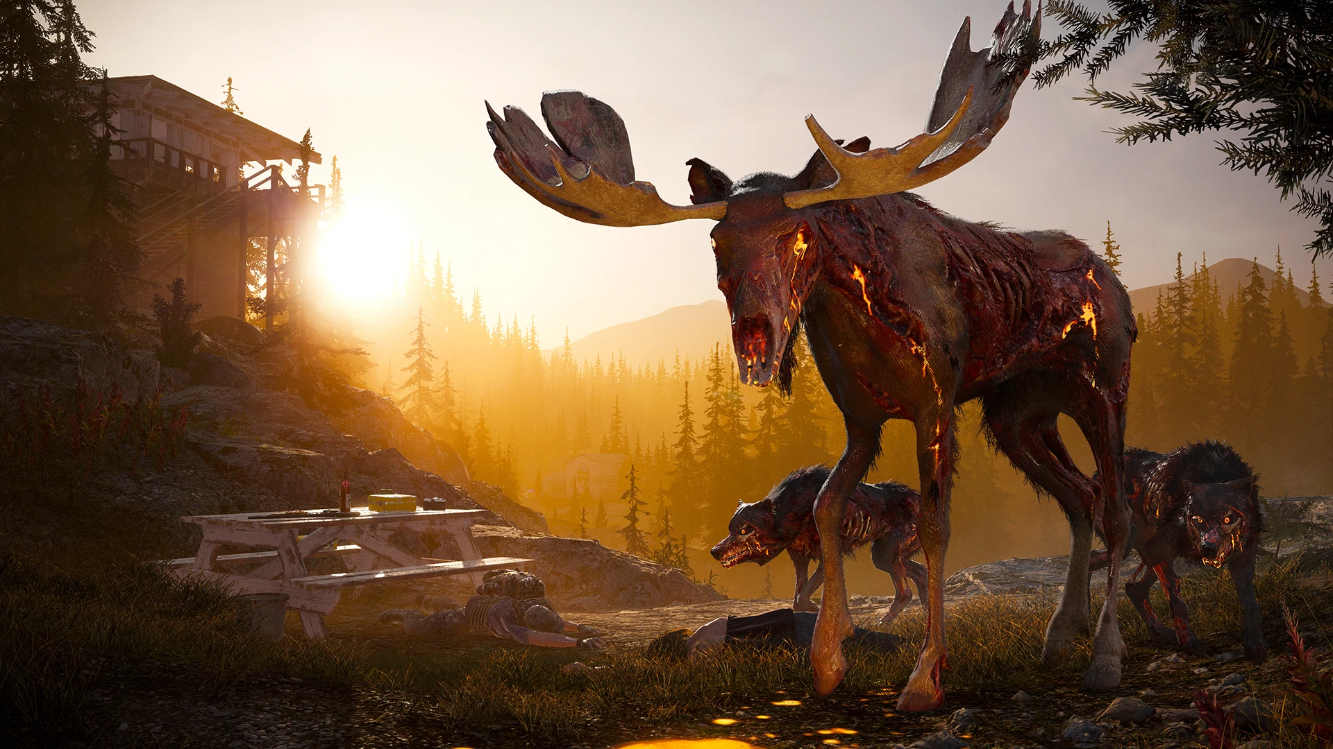 Far Cry 5 mac游戏 screenshot-7