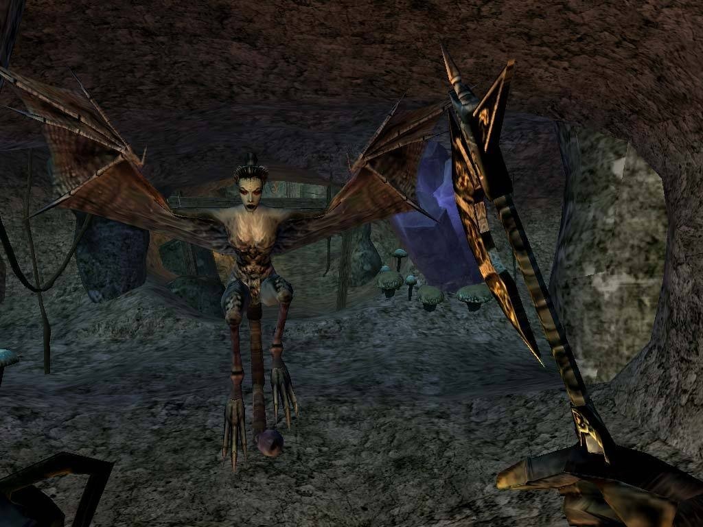 The Elder Scrolls III: Morrowind mac游戏 screenshot-3