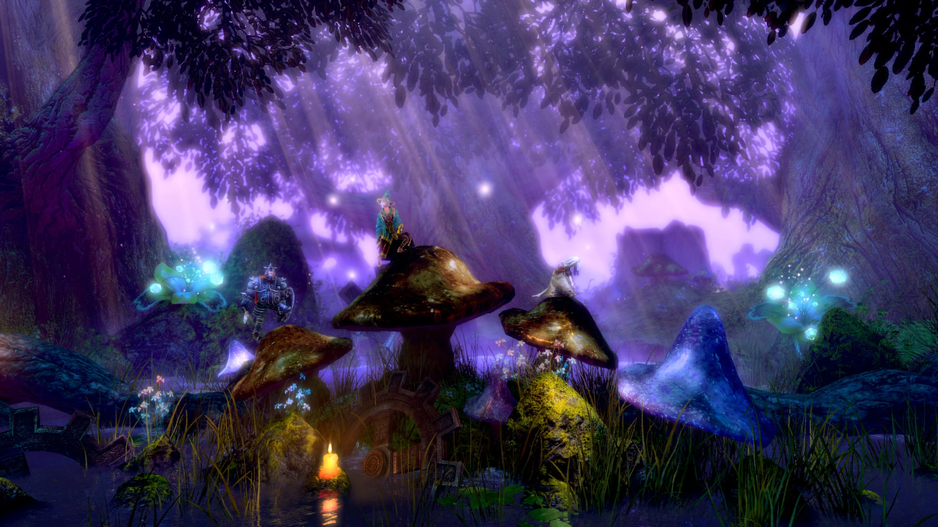 Trine Enchanted Edition mac游戏 screenshot-4