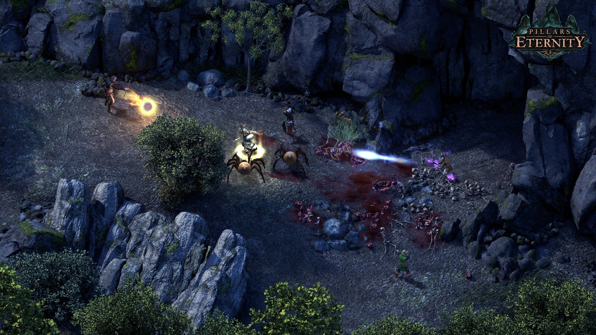 Pillars of Eternity: Definitive Edition mac游戏 screenshot-2