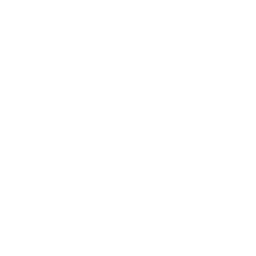 Liftoff: Micro Drones mac游戏 icon