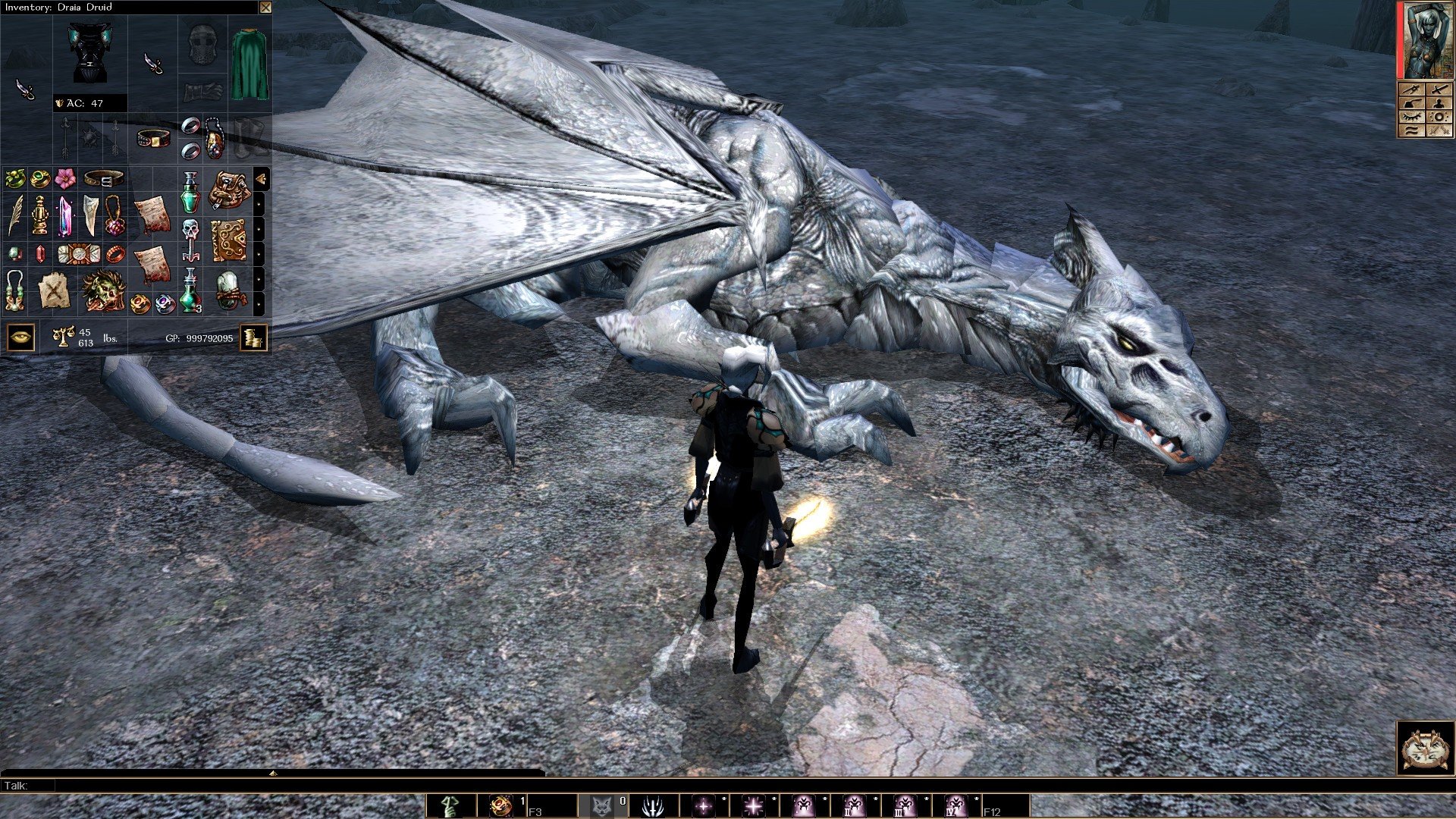 Neverwinter Nights: Enhanced Edition mac游戏 screenshot-3