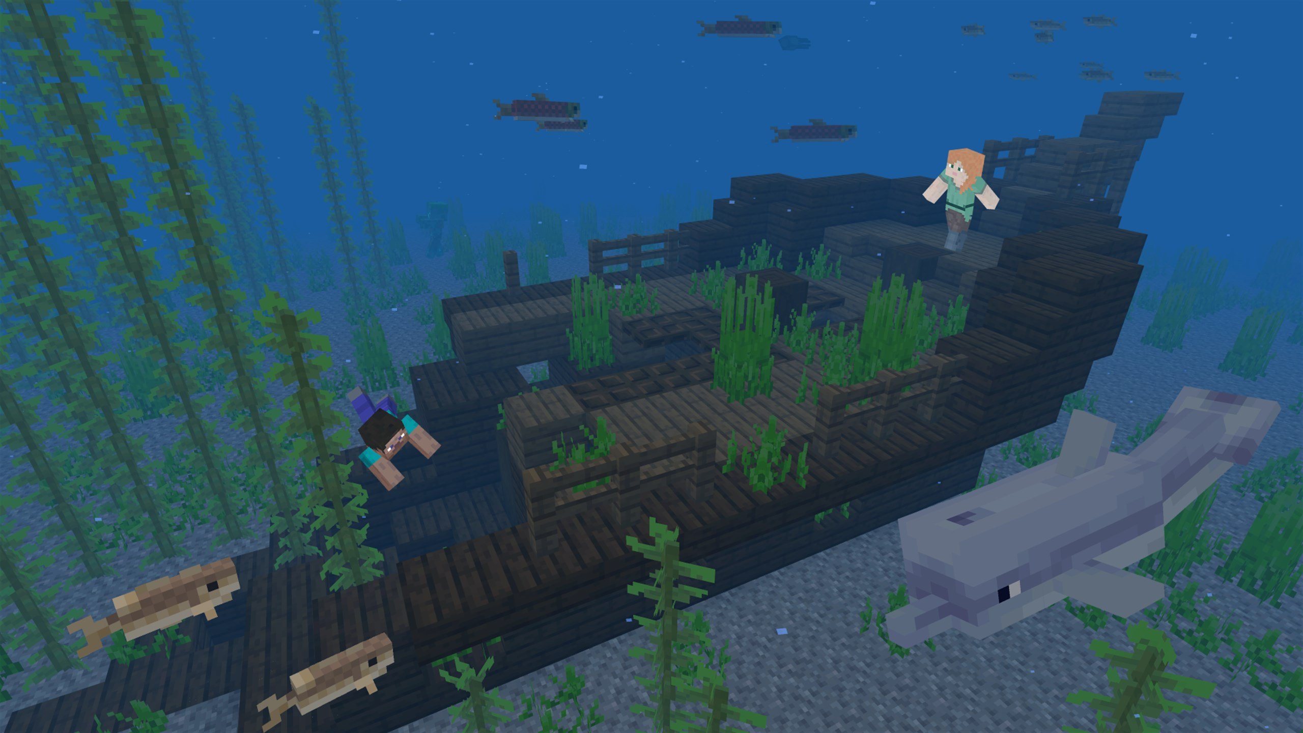Minecraft Java Edition mac游戏 screenshot-3