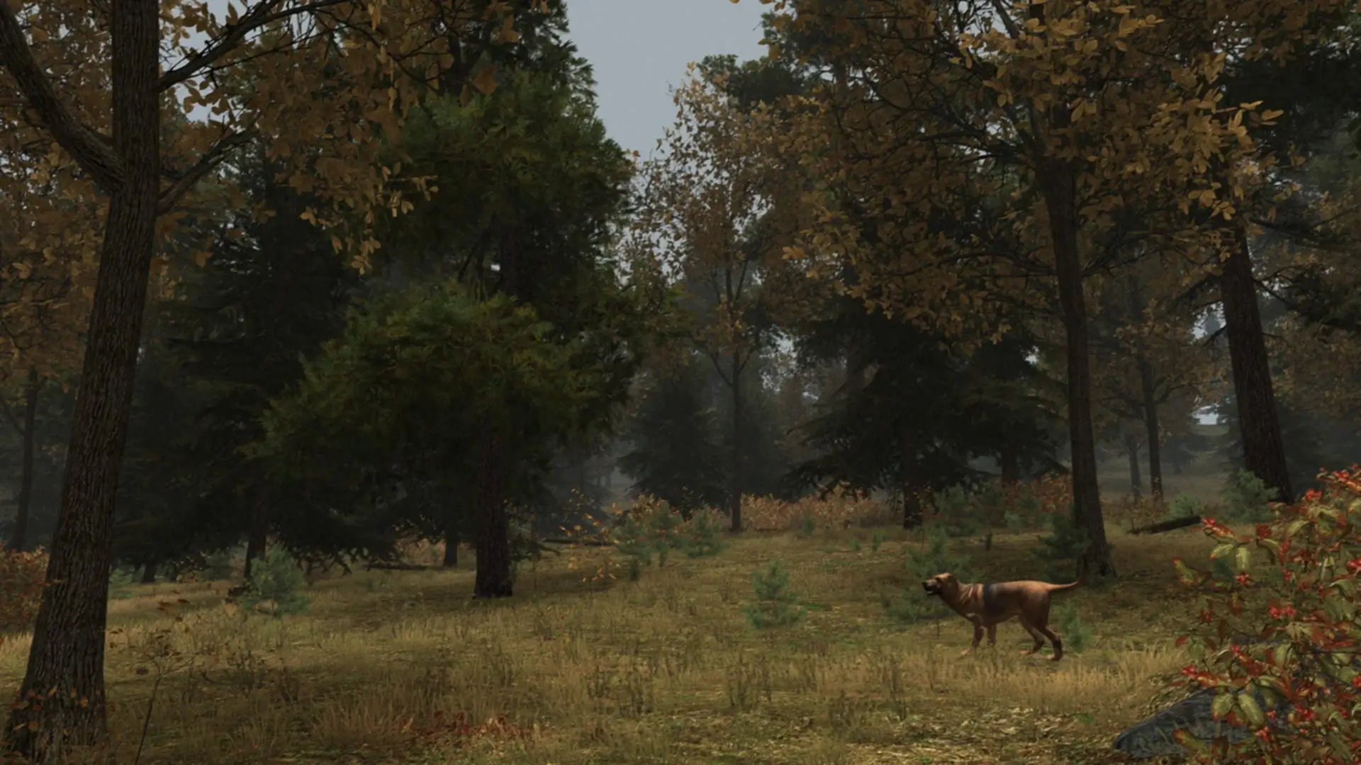Walden, a game mac游戏 screenshot-3