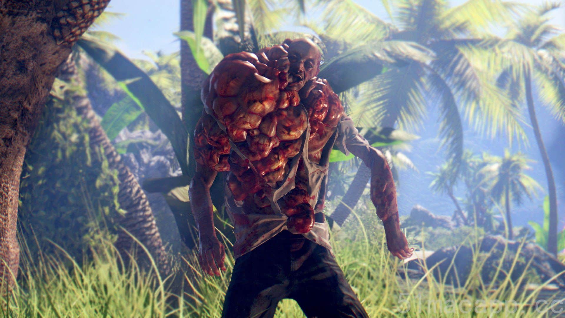 Dead Island mac游戏 screenshot-1