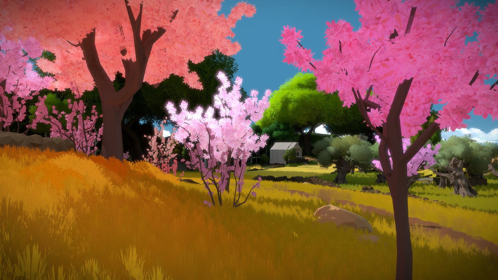 The Witness mac游戏 screenshot-3