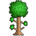 Terraria mac游戏 icon